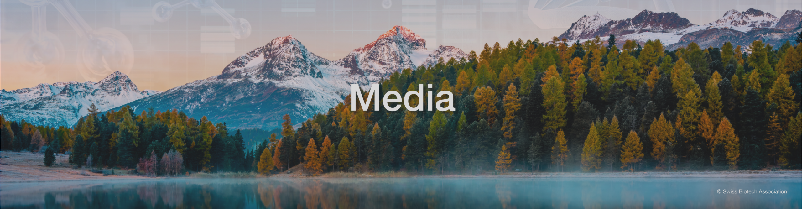Slider_media